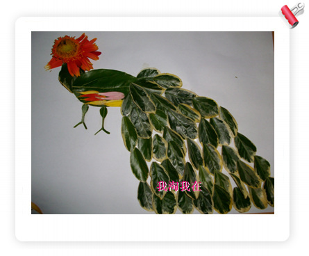 8,[快乐diy] 树叶贴画之孔雀