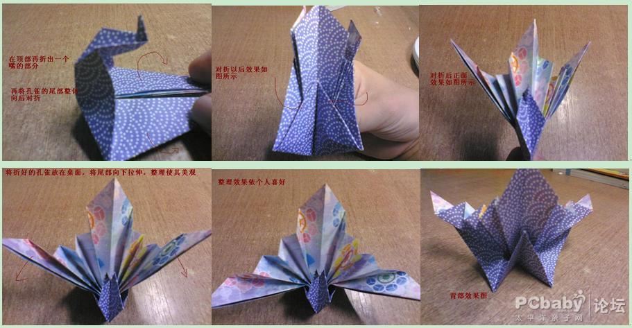 【十月折纸教程】孔雀的折法!