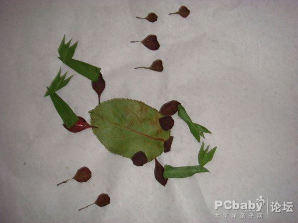 制作树叶贴画青蛙图片