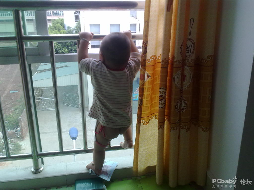 看身体棒棒的我;爬窗户了