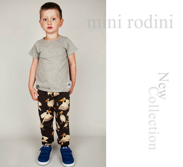 mini rodini