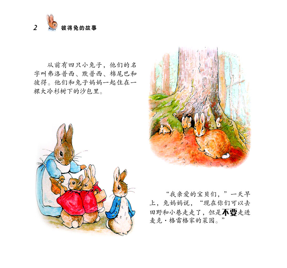 绘本连载 彼得兔的故事 小兔彼得 3-6岁 亲子阅读