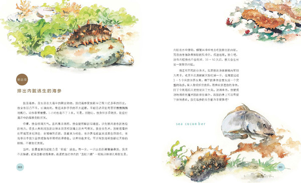 《假如动物会说话》绘本精彩推荐