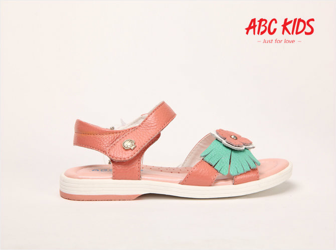 ABC KIDSƤЬ