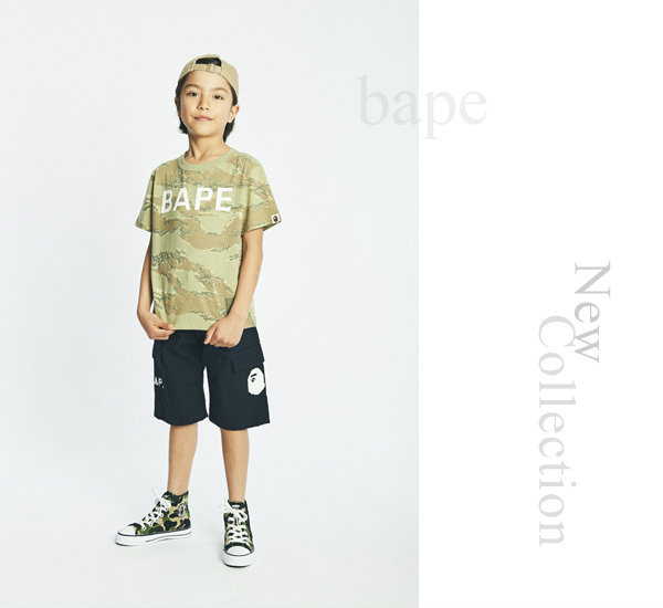 Bape2017