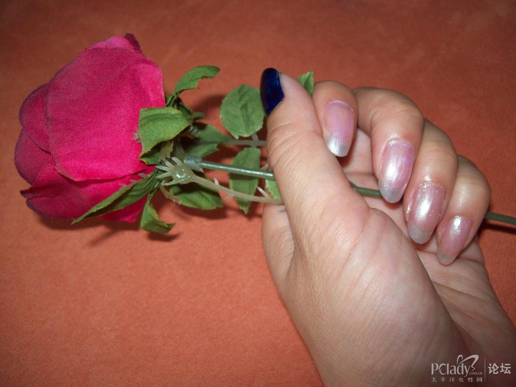 整个手五个手指都涂好了,拿上一朵玫瑰花,拍一张照  哈哈,今天真是