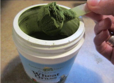 养生保健食物之王!Amazing Grass 有机小麦草粉