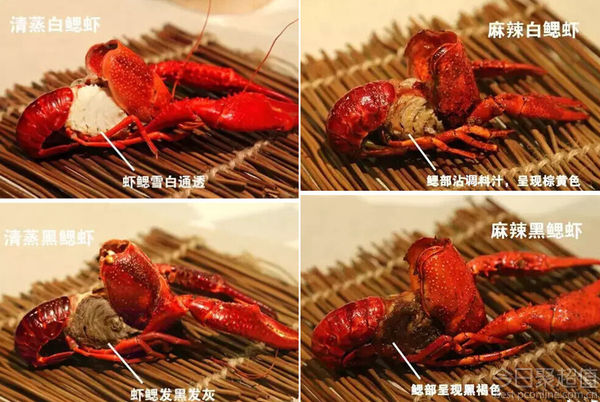 吃虾的正确方式,快get√ 基围虾,濑尿虾,龙虾···通