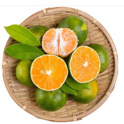 稀洛柯 宜昌蜜桔 带箱5斤 9.8元包邮(需用券)