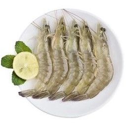 新鲜海鲜水产鲜活活虾鲜虾冷冻生鲜白虾生鲜美食 超值