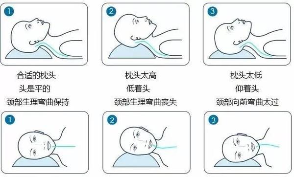 常见材质枕头横评告诉你哪款最适合你