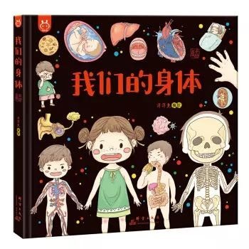 我们的身体画给孩子的人体探秘之旅中国人漫画科普洋洋兔童书36岁10件