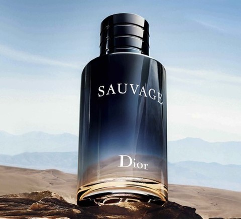 dior 迪奥 旷野男士香水系列男士香水 淡香edt 60ml 566元