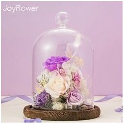 joyflower 永生花玻璃罩礼盒 陪你到永远 269元