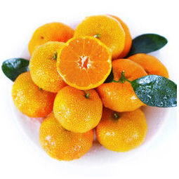 广西荔浦沙糖桔砂糖橘 甜橘子500g装 新鲜水果 *3件 .