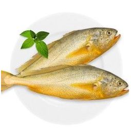 御食之鲜 东海大黄鱼 新鲜黄花鱼海鲜水产 大黄鱼 400-500g/条 3条装