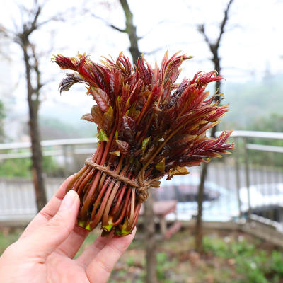 咿鲜庄园头茬红油香椿芽250g218元顺丰包邮需用券