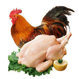 依禾农庄土鸡公鸡农家散养新鲜宰杀鸡柴鸡童子鸡整鸡15kg只整只装895