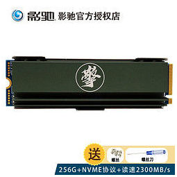 2接口(nvme协议) pcie*3通道 ssd台式机笔记本电脑固态硬盘 擎256g/m.