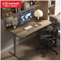 loctek 乐歌 乐歌电动升降电脑桌站立式台式办公桌简约家用e2升降桌灰