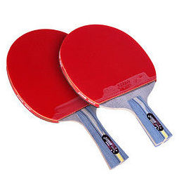 dhs 红双喜 4xinghengzhi 四星级乒乓球拍对拍 赠乒乓球 213元 价格
