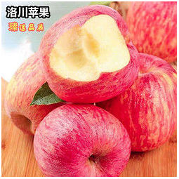 水果蔬菜 洛川 冰糖心红富士苹果 (80-85mm)带箱10斤装
