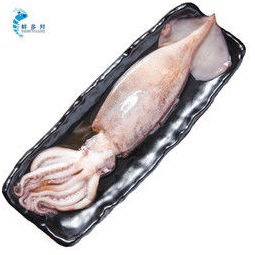 鲜多邦 渤海湾冰鲜鱿鱼约5-8条 散装1500g 火锅烧烤食材 冻化鲜海鲜