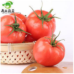 寿光蔬菜 西红柿 2.5kg 15.8元