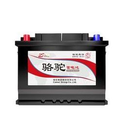 camel 骆驼 蓄电池6-qwlz-60适用于景逸中华骏捷哈弗五十铃奇瑞汽车