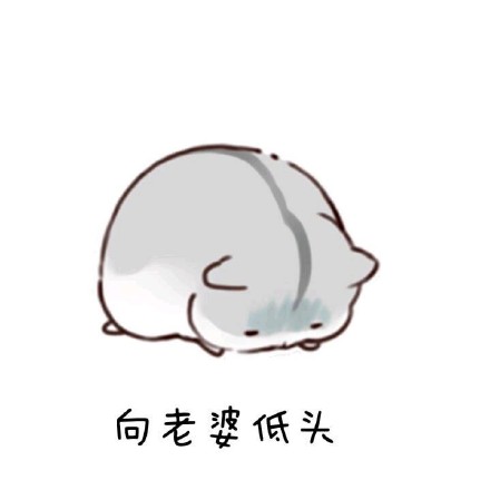 仓鼠我错了表情搞笑图片鸟只两的高清老婆带字版图片