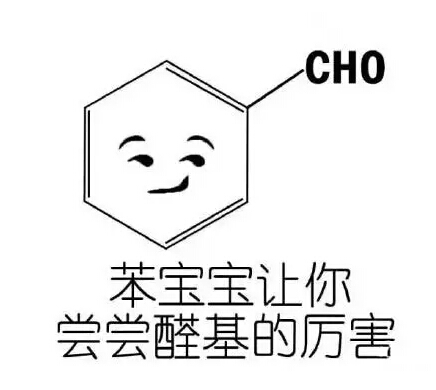 苯宝宝表情包 正式版