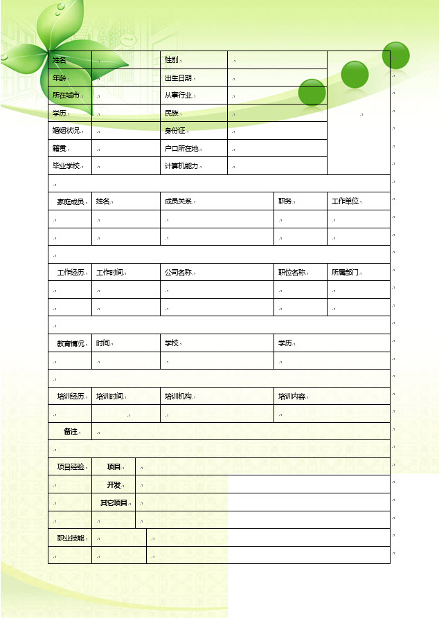 精美个人简历表格模板 正式版图片