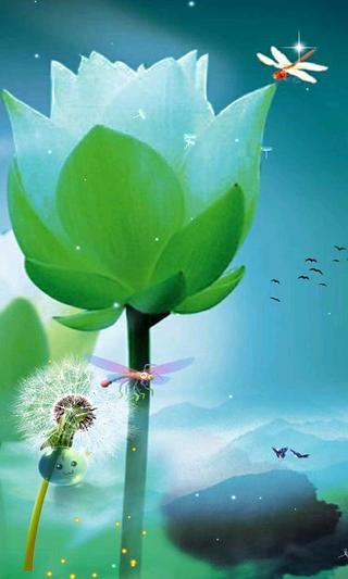 荷花-绿豆动态壁纸3.3应用截图
