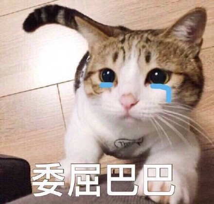 一只名叫luhu的小猫再次以他的"委屈"而风靡网络,luhu以它的小可怜的