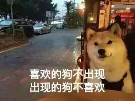 网络工具 qq辅助 情人劫单身狗图片表情包官方下载  情人节单身狗微信
