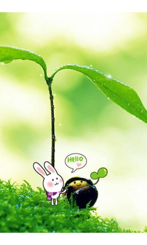 夏日清爽壁纸 1.