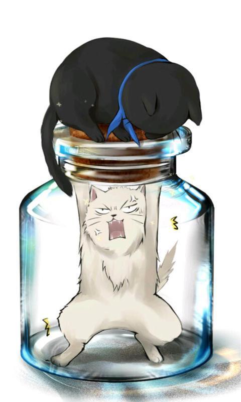 二次元猫咪-绿豆动态壁纸 4.