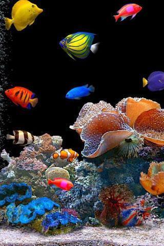 3d水族馆生活壁纸 1.