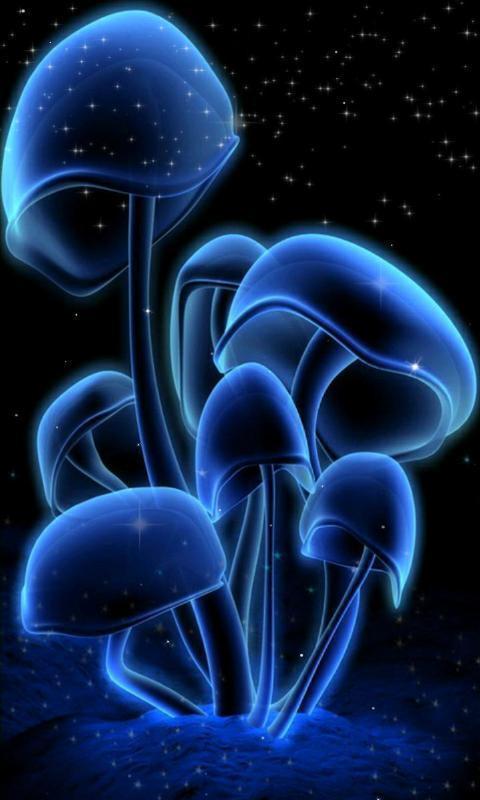 幻彩蘑菇主题动态壁纸 3.