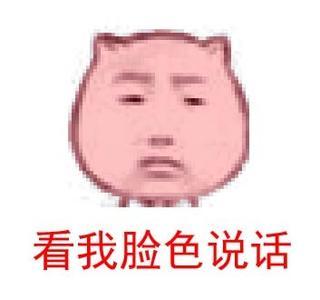 微信a单个猫单个2018【表情带字版】搞笑图片撤回表情包图片