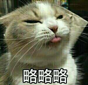 其它表情包 略略略柴犬表情包无水印版官方下载   略略略吐舌头表情包