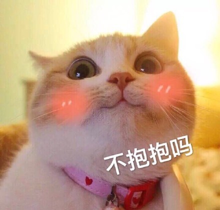猫咪撒娇表情包无水印版 正式版