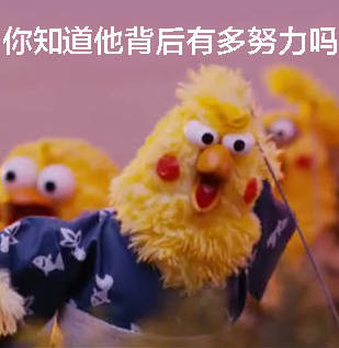 当别人说你偶像坏话时鹦鹉表情包 正式版