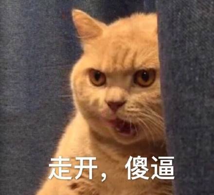 我妈不让我跟傻子玩表情下载_我妈不让小孩最近混血表情包很的火我跟图片