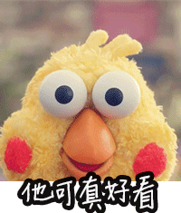 这是一组鹦鹉兄弟的表情包,鹦鹉兄弟那你想咋地了,你能怎么办,一组
