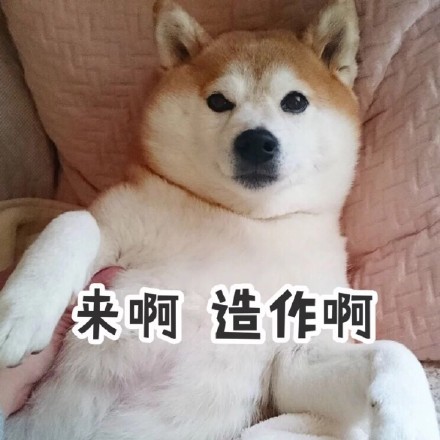 字图片的表情包,柴犬是非常可爱的犬种,其实柴犬的外形跟秋田犬有点像