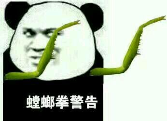 下载中心 软件下载 表情包 其它表情包 泰拳警告恶搞表情包【合集版】