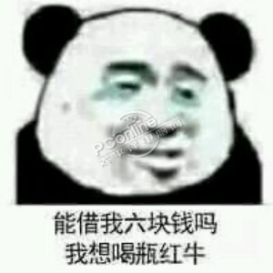 借我点钱吧表情包无水印版 【完整版】