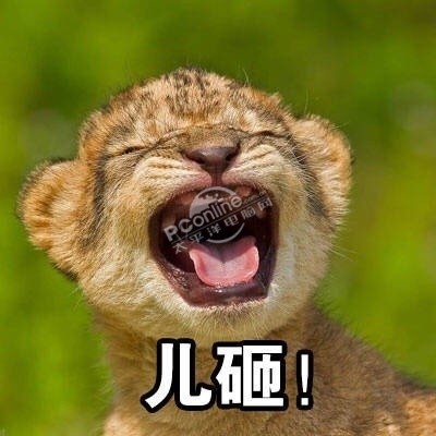 表情喊儿砸射手无水表情印版动物豌豆包6图片