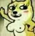doge表情下载_doge官方表情qq脸可爱揉表情包+搞笑下载1图片